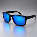 Oakley Holdbrook